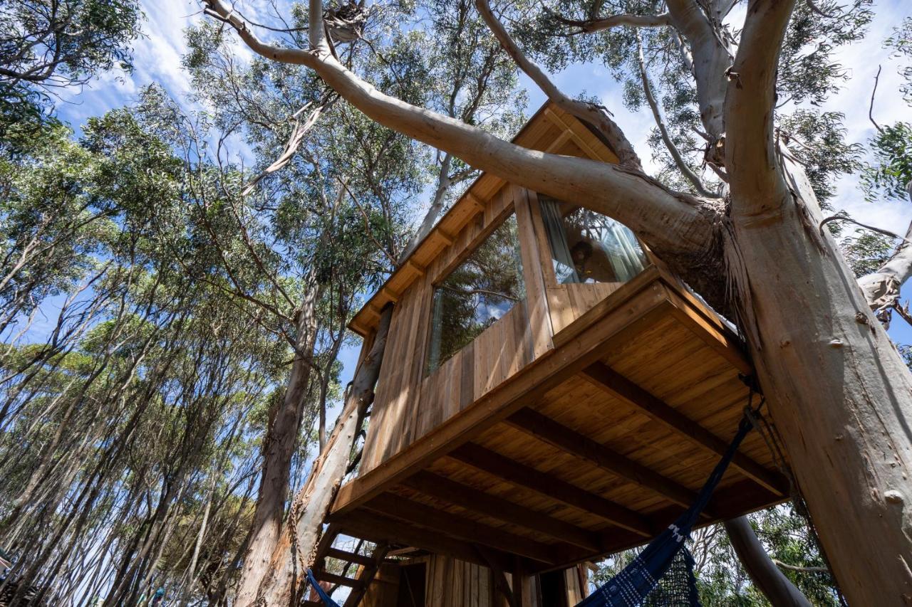 Soul Farm Algarve - Glamping & Farm Houses อัลเจซูร์ ภายนอก รูปภาพ